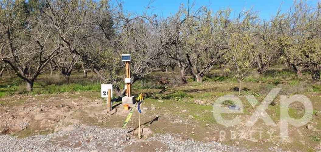 PARCELA Los Almendrales de Nos - Parcela #7 , Comuna de Buin