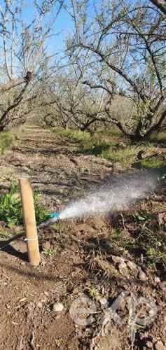 PARCELA Los Almendrales de Nos - Parcela #7 , Comuna de Buin