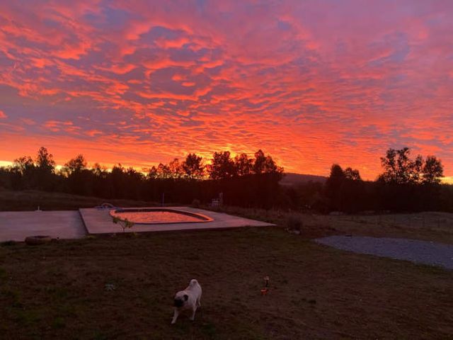 Linda parcela cercana a Villarrica