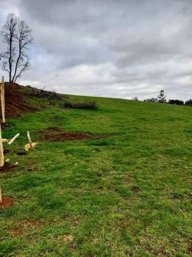 TERRENO DE 1,40 HECTÁREAS, SECTOR TROMEN- COMUNA CHOLCHOL.