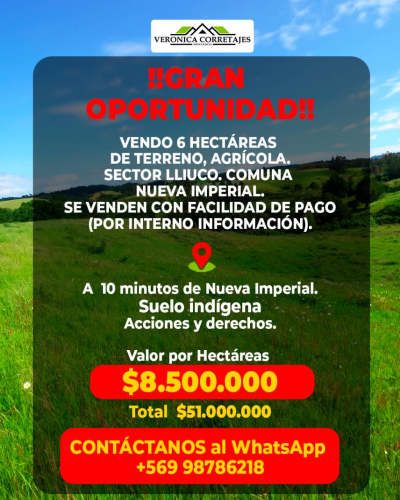 TERRENO DE 6,0 HECTÁREAS, SECTOR LLIUCO, COMUNA NVA. IMPERIAL.