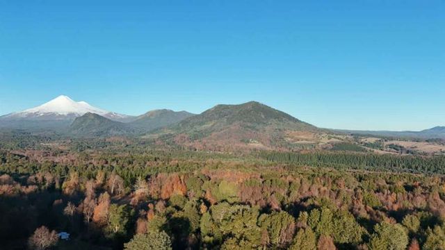 PARCELA LOS AVELLANOS