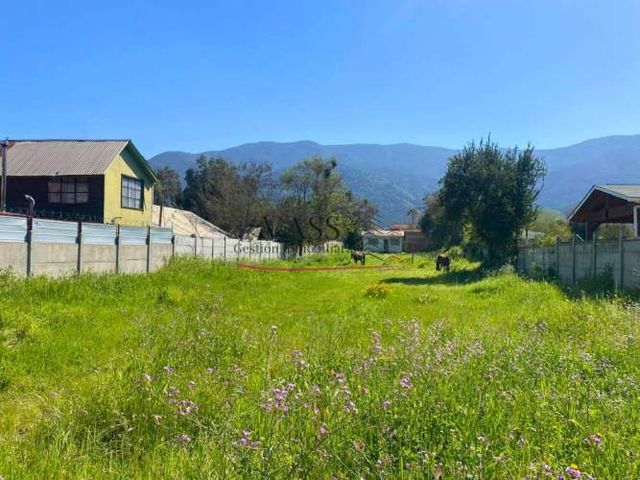 VASS vende terreno de 1.000 m2 plano en Granizo, Olmué