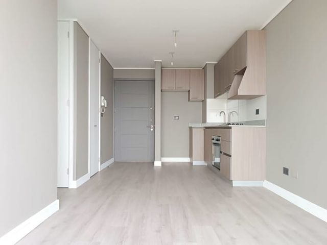 Paulina 8753 [3118-3]