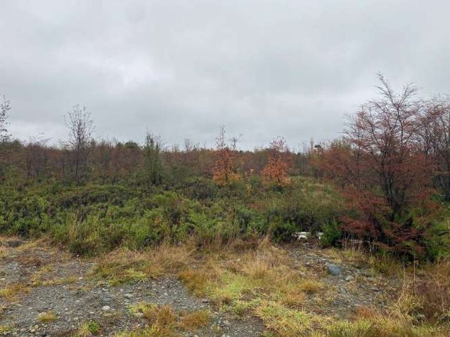 VENTA PARCELA 5000MTS Puerto Montt