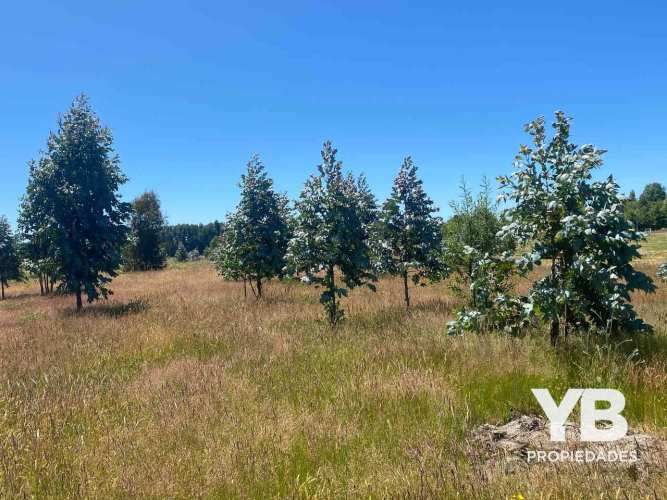 Venta Parcelas Villarrica, Salida a Licán Ray