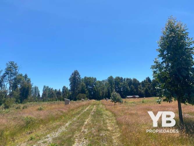 Venta Parcelas Villarrica, Salida a Licán Ray