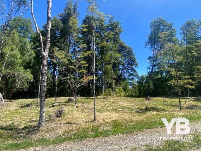 Venta Parcelas Villarrica, Salida a Licán Ray