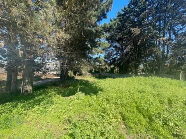 Sitio SE VENDE SITIO ERIAZO, REÑACA (CÓD. 537)