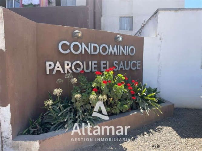 DEPARTAMENTO El Sauce Coquimbo