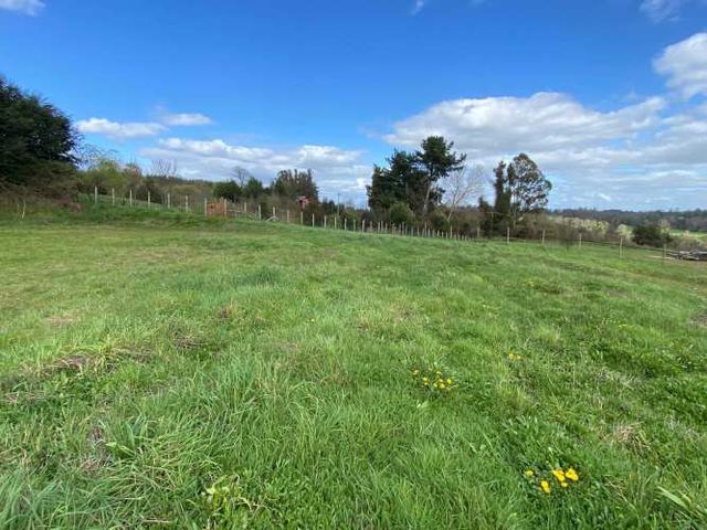 PARCELA EN LAS QUEMAS, LOS ARRAYANES (119552)