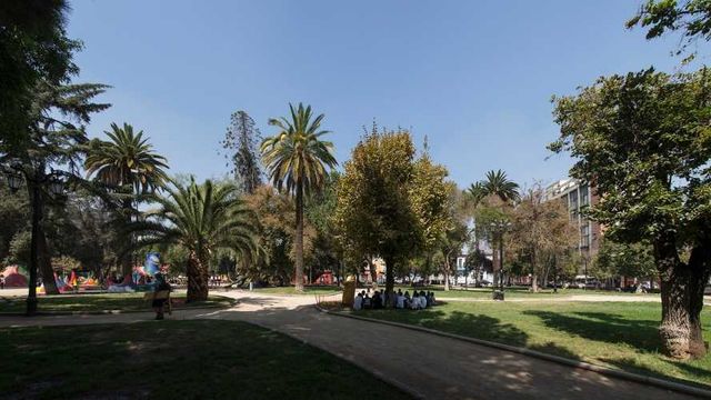 Pocuro - Dr Roberto del Rio (119719)