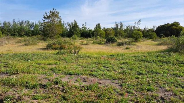 PARCELA Dirección (Norte - Sur) Km 468 (pasarela el Mago) Lotéo ubicado a solo metros de la ruta 5 Sur.