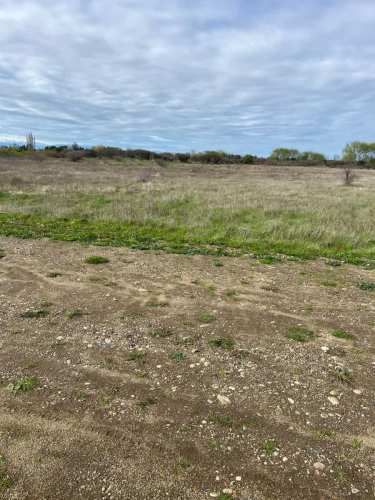 AGRICOLA UNICAVEN LOTE 10