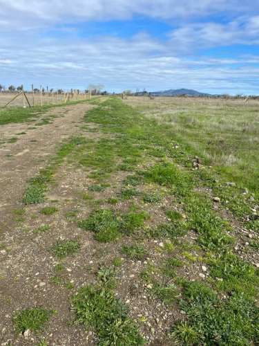 AGRICOLA UNICAVEN LOTE 10