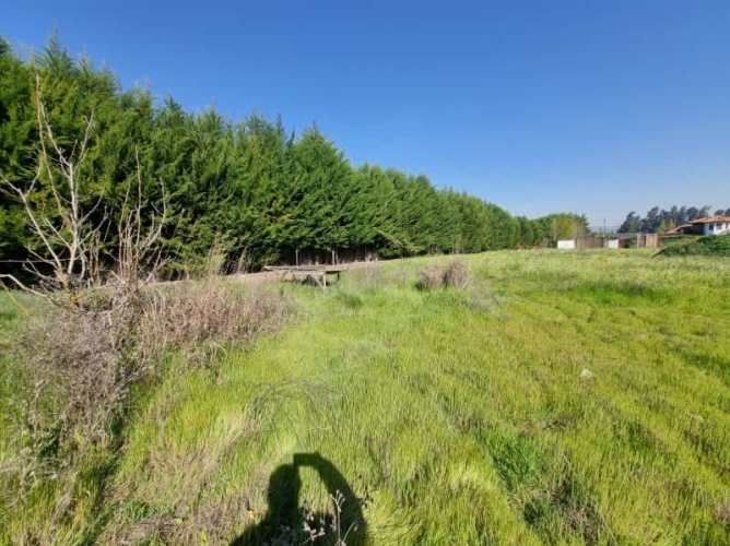 Parcela plana condominio El Oliveto, Talagante