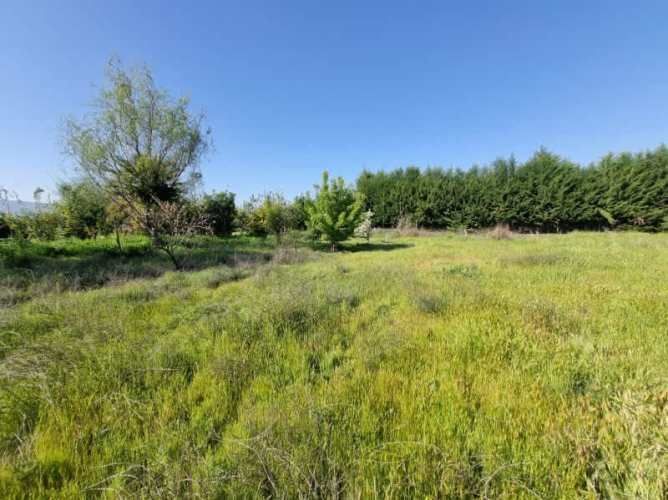 Parcela plana condominio El Oliveto, Talagante