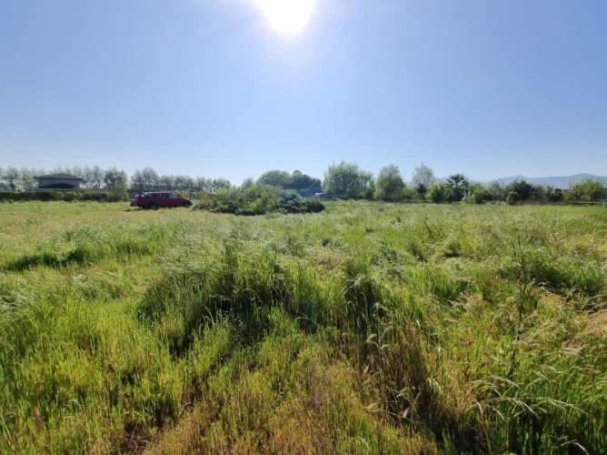 Parcela plana condominio El Oliveto, Talagante