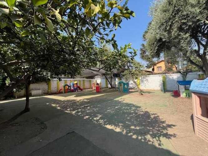 BROWN SUR, DUBLE ALMEYDA