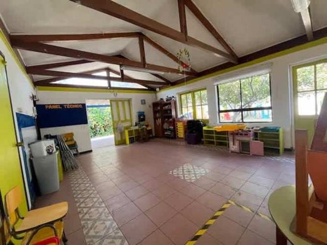 BROWN SUR, DUBLE ALMEYDA