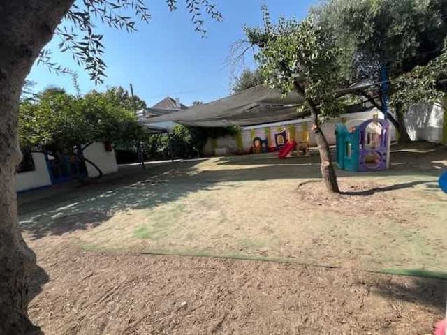 BROWN SUR, DUBLE ALMEYDA