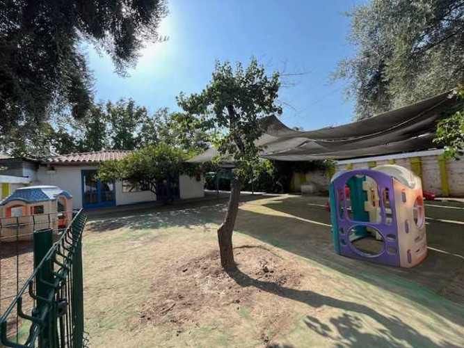 BROWN SUR, DUBLE ALMEYDA