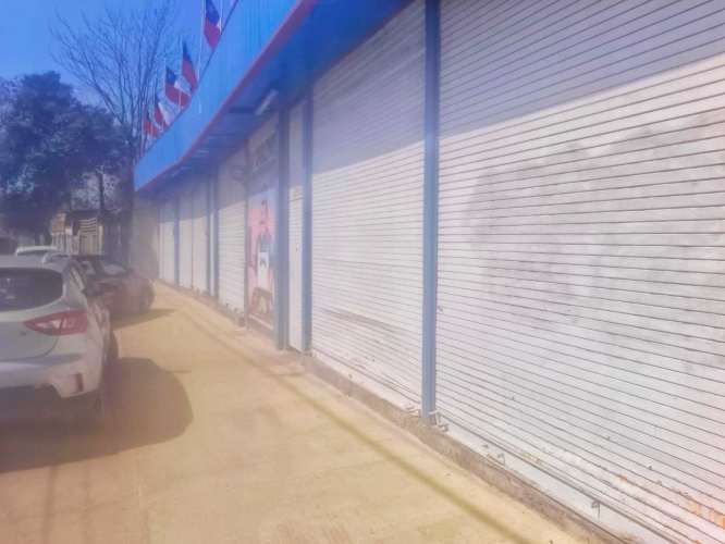 Quinta Normal (119916)