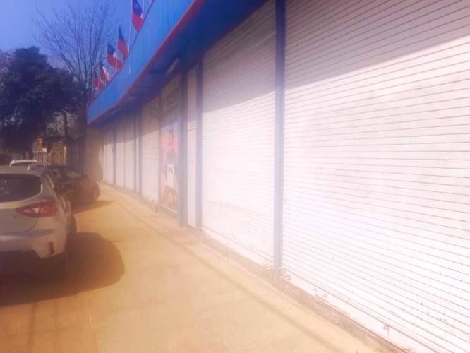 Quinta Normal (119916)