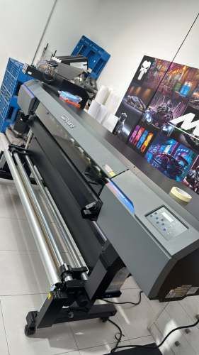 Diseñador Gráfico con Experiencia