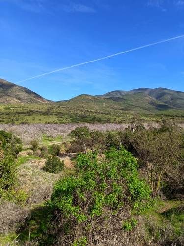 Hectareas 125 on huerto de Almendros