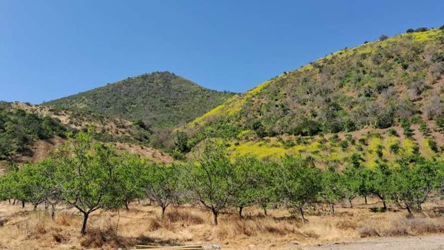 Hectareas 125 on huerto de Almendros