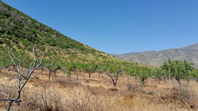 Hectareas 125 on huerto de Almendros