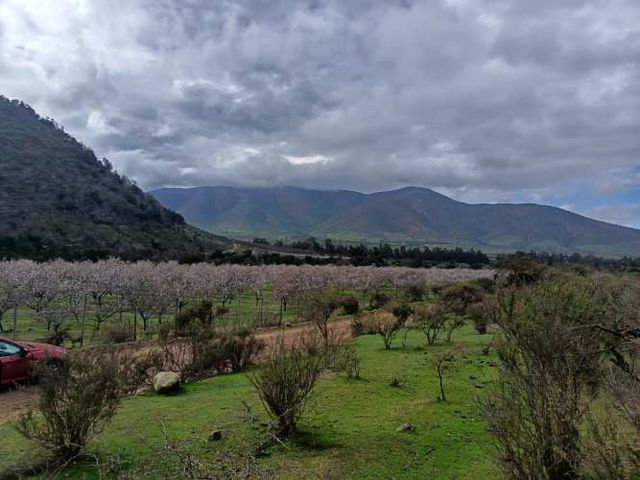 Hectareas 125 on huerto de Almendros