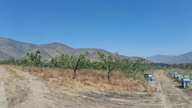 Hectareas 125 on huerto de Almendros