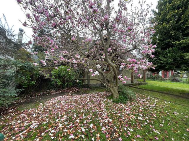 SE VENDE CASA EN SECTOR RESIDENCIAL