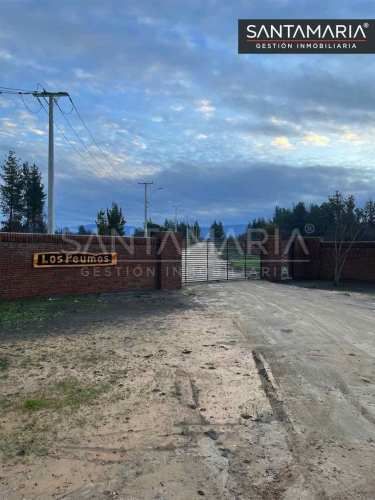 PARCELA unihue, concepcion