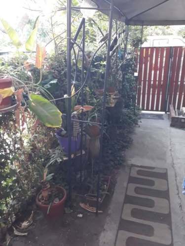 Pieza Mujer Las Condes