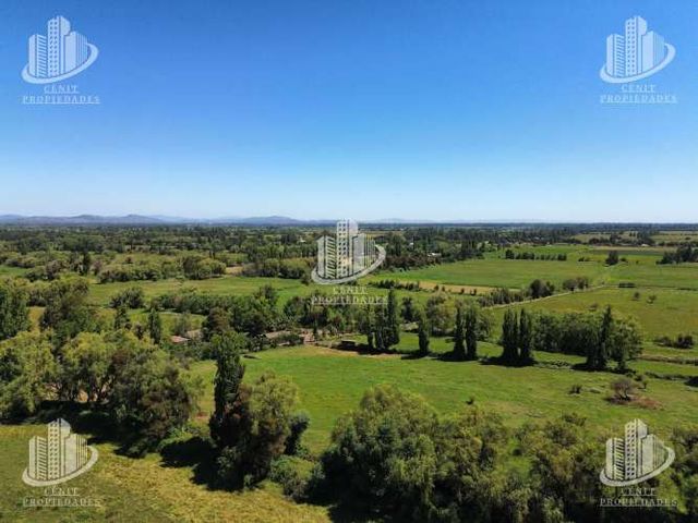 TERRENO (11,7HÁS) EN VENTA, VILLA ALEGRE, REGIÓN DEL MAULE