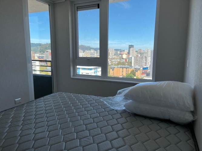 Arriendo departamento Amoblado