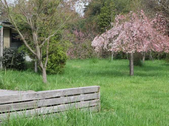 Parcela camino Cabrero-Yungay