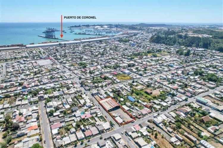 LOCAL COMERCIAL Lota, Coronel