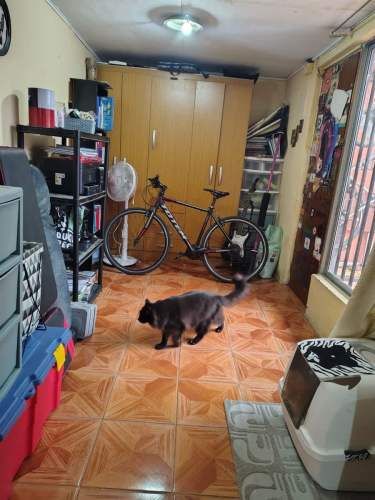 CASA Dr. René Anzieta