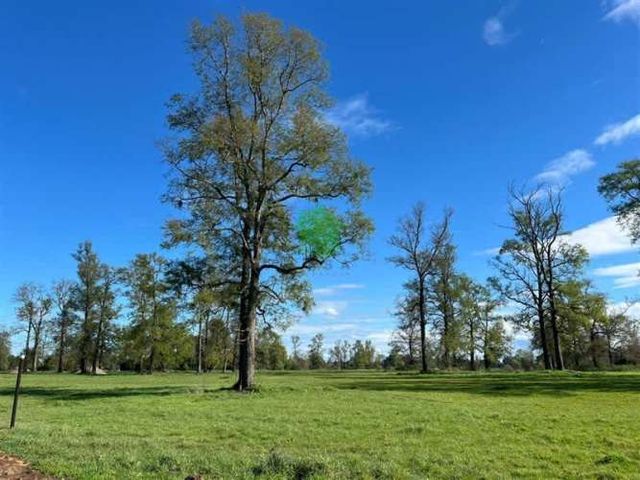 PARCELA Pichil (Ruta U-55V)