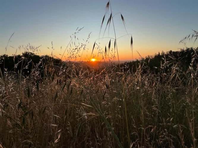 PARCELA Condominio Hacienda San Enrique