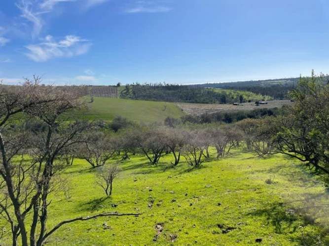 PARCELA Condominio Hacienda San Enrique