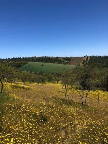 PARCELA Condominio Hacienda San Enrique