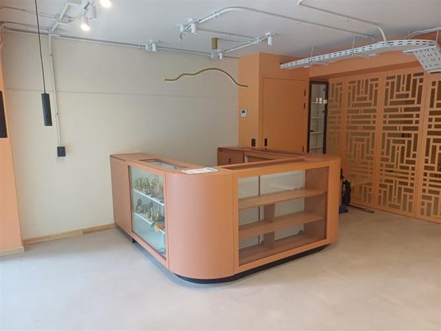 LOCAL COMERCIAL Fidel Oteiza