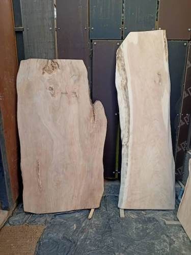 Cubiertas Rusticas Cipres Rauli Cohigue Oregon Lingue DSD $55M