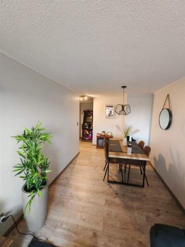 DEPARTAMENTO centenario 55