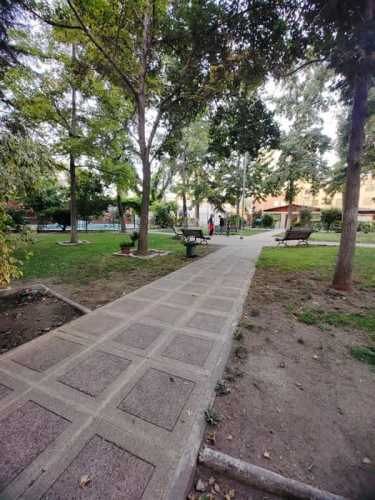 DEPARTAMENTO centenario 55